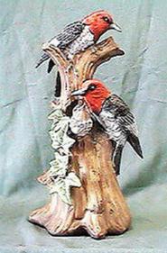 Woodpecker Family